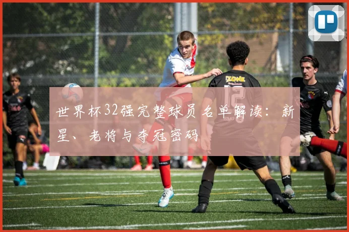 世界杯32强完整球员名单解读：新星、老将与夺冠密码